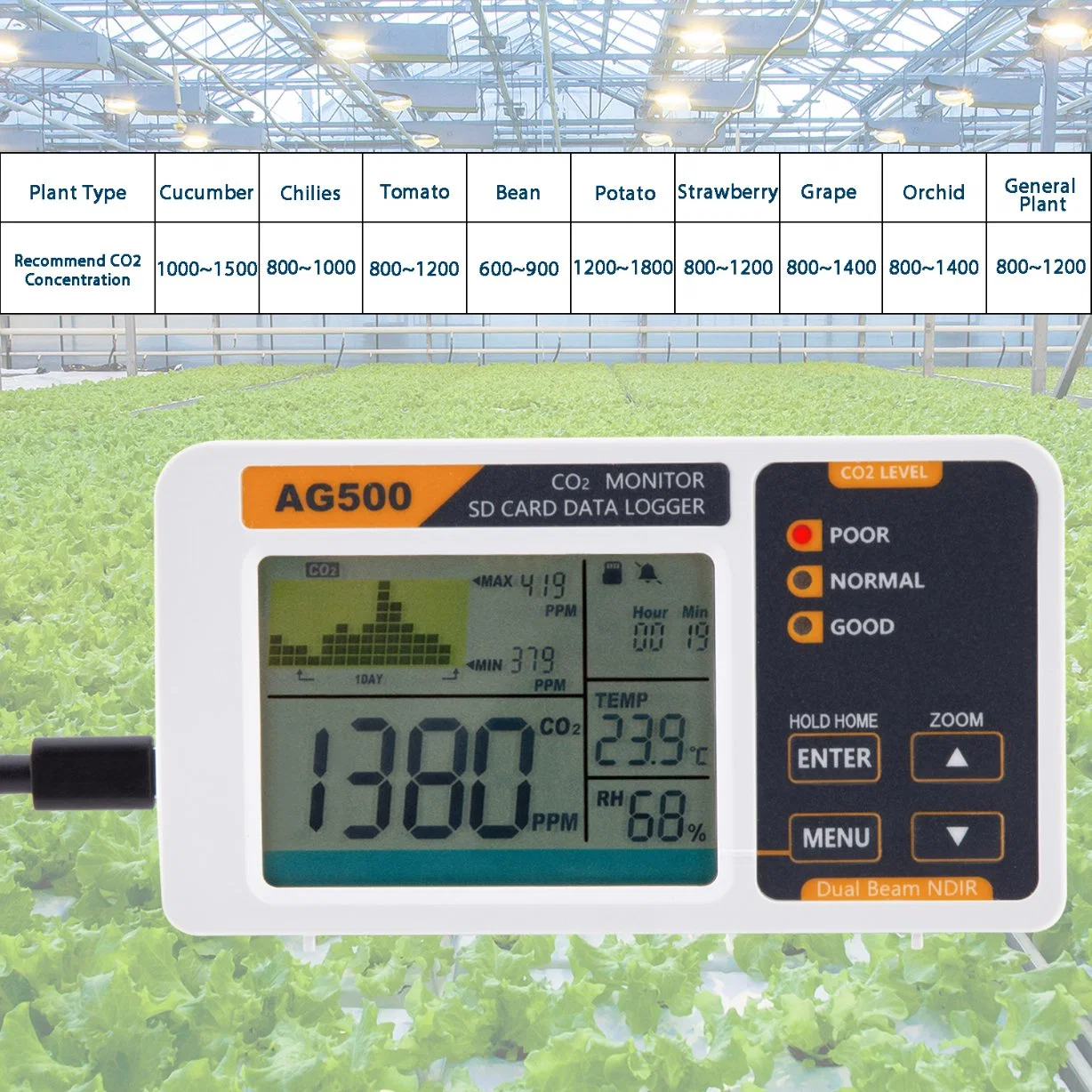 Detector de sobremesa de dióxido de carbono CO2 con LCD de registrador de datos Muestra el sensor de gas de la tarjeta SD de temperatura y humedad