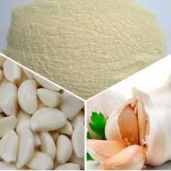 Hot Sales grau de alimento Natural orgânico Allicin Extract garlic em pó