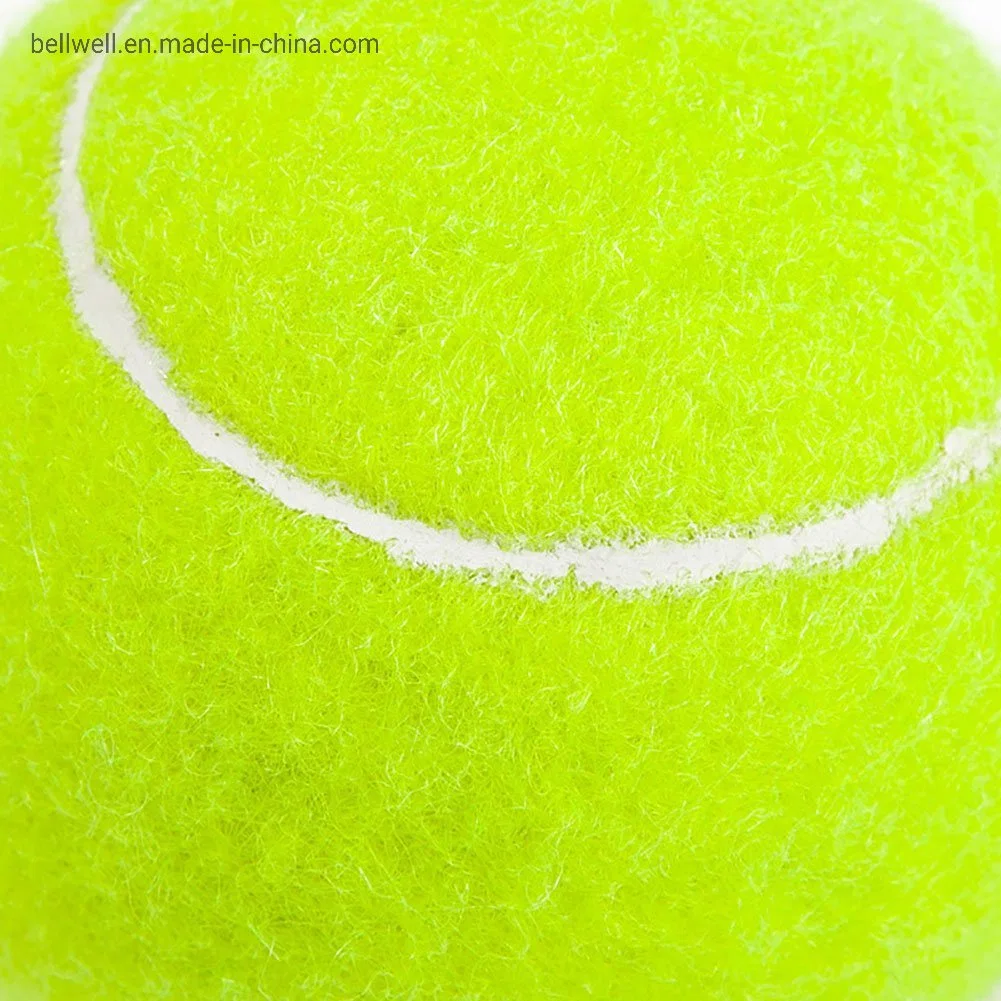 Penn Championship High Altitude Tennis Balls - Extra Duty Felt Pressurized Tennis Balls