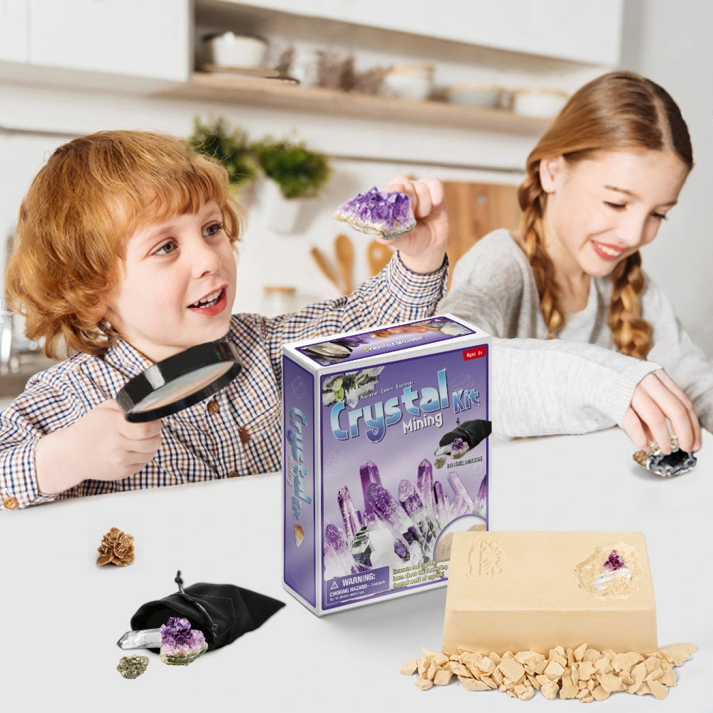 Archäologie Spot Versorgung Ausgraben Spiel Kinder Spielzeug Geschenk für Mineralogie Souptoys