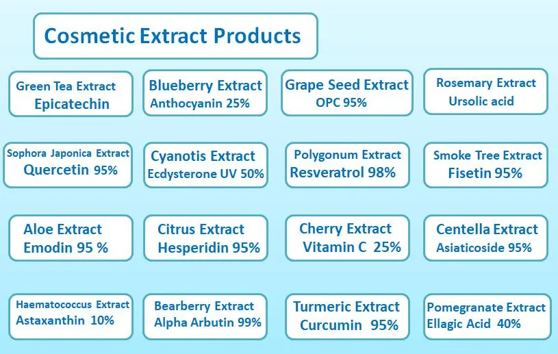 Astragalus Extrakt 10%~98% Astragalside IV