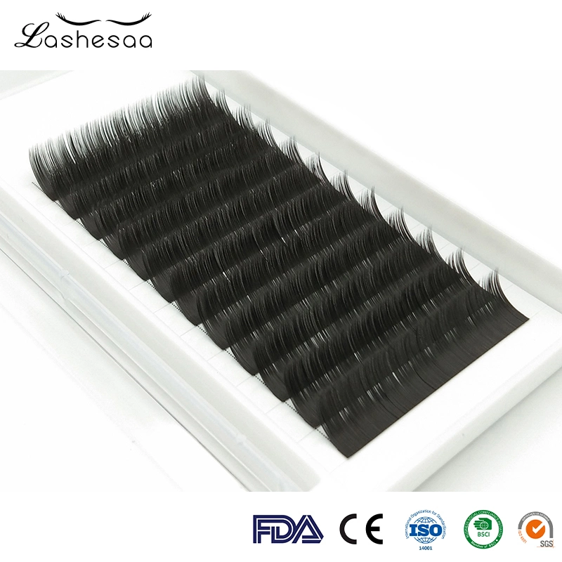 China Mengfan Extensiones de Pestañas antes y después de cada uno de los fabricantes de ojo Classic Beauty Care Maquillaje Cuidado de belleza natural de las Extensiones de Pestañas herramientas largo