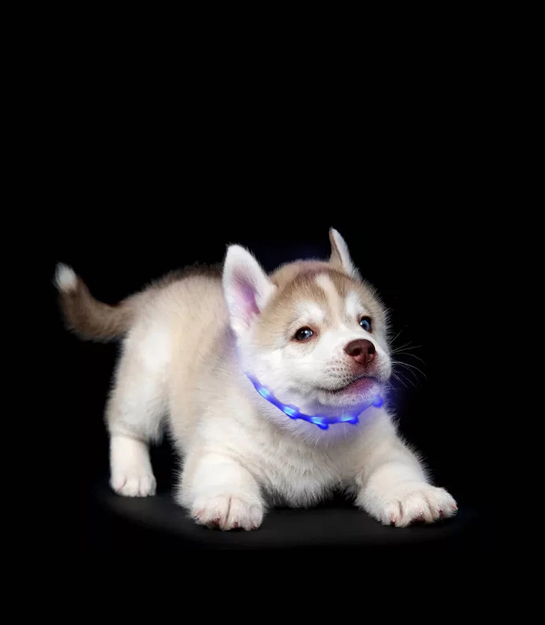 Pet Collar Can Freely Move USB Charge Silicone LED Luminous Dog Chain