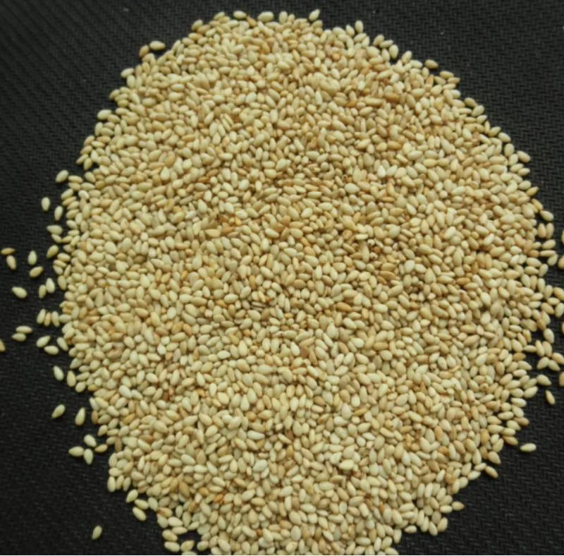 High Quality Low Price Roasted Natural White Sesame Seeds