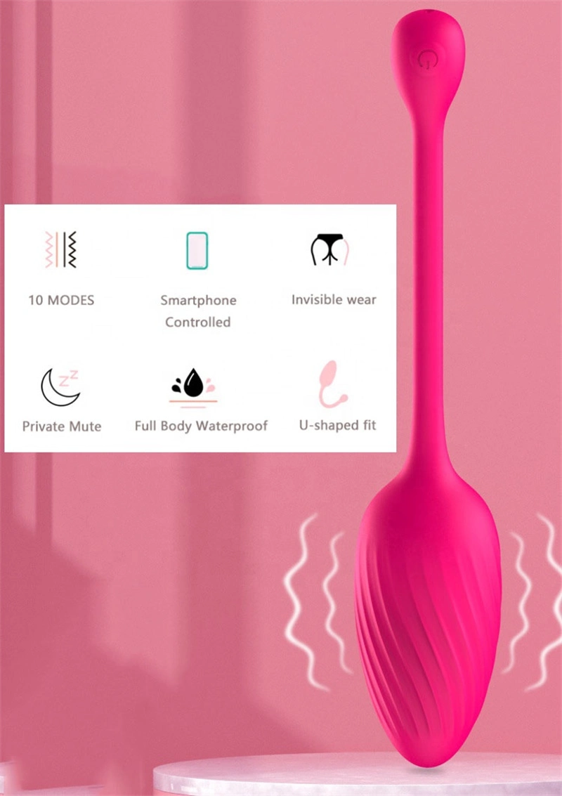 Popular Sex Toys Mini Dolphin Vibrator with APP Control