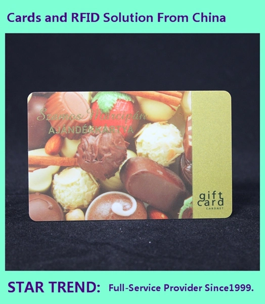 Four Color Printing Card Made Plastic with Magnetic Stripe for Ice Cream Store