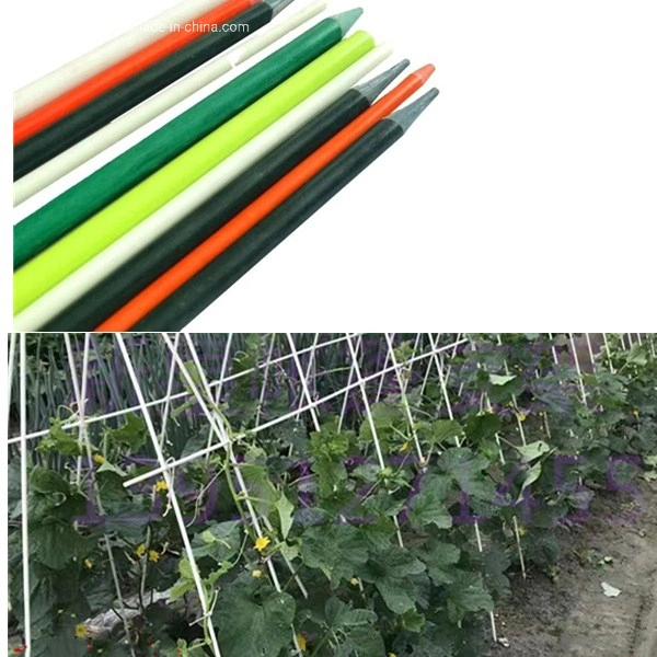 7.9mm Fiberglass Garden Plant pépinière piquets de tomates