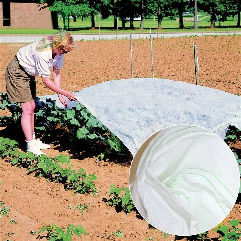 UV Stabilized PP Nonwoven Fabric for Agriculture Cover