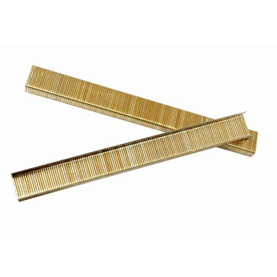 21 Ga 8012 Fine Wire Staple for Sales