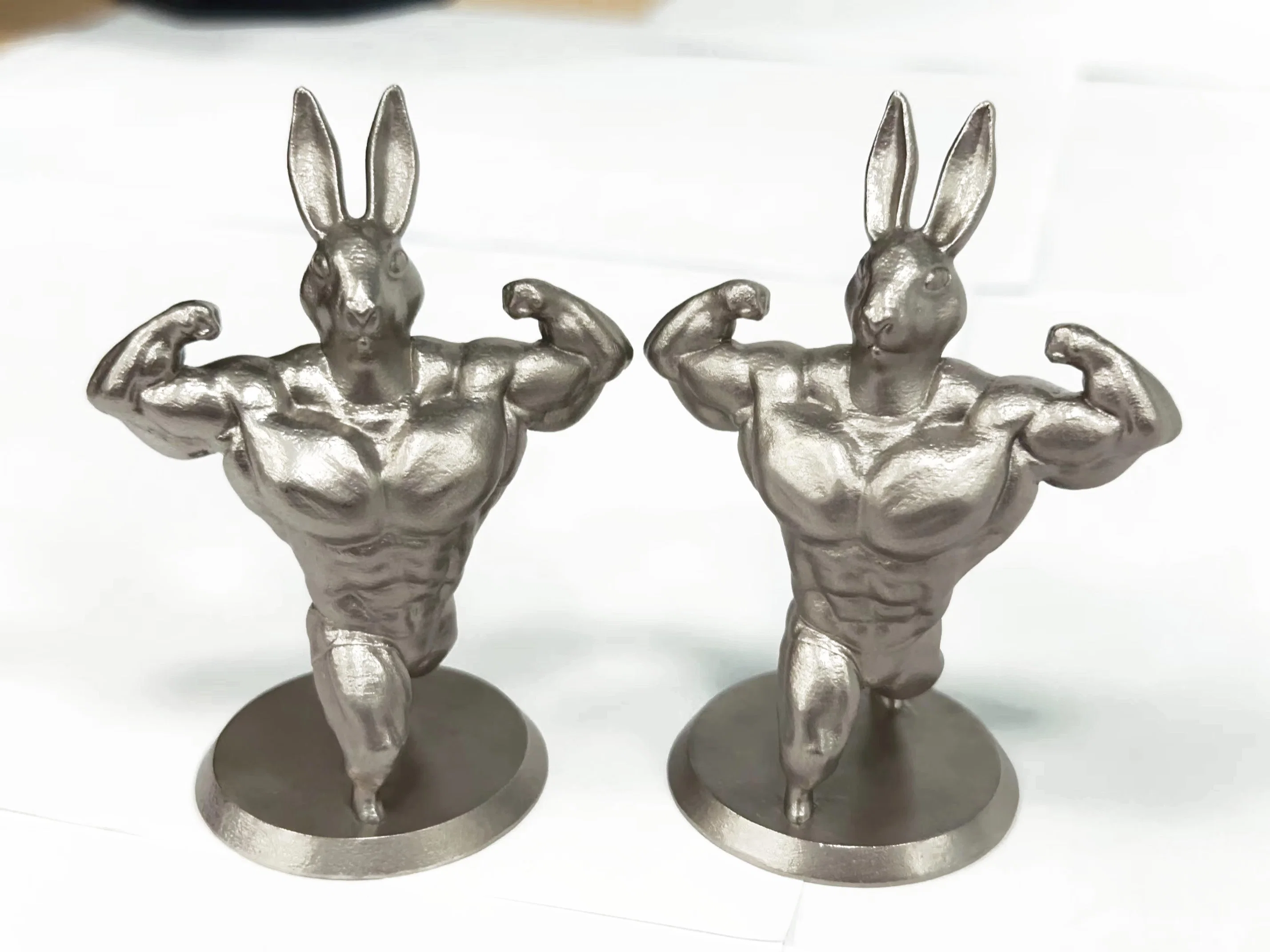 3D Printed Stainless Steel Muscle Rabbit