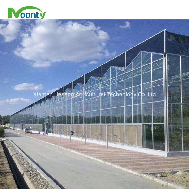 Modern Agricultural Velo Multi-Span Glass House High Quality Solar Glass Greenhouse with Automatic Control System