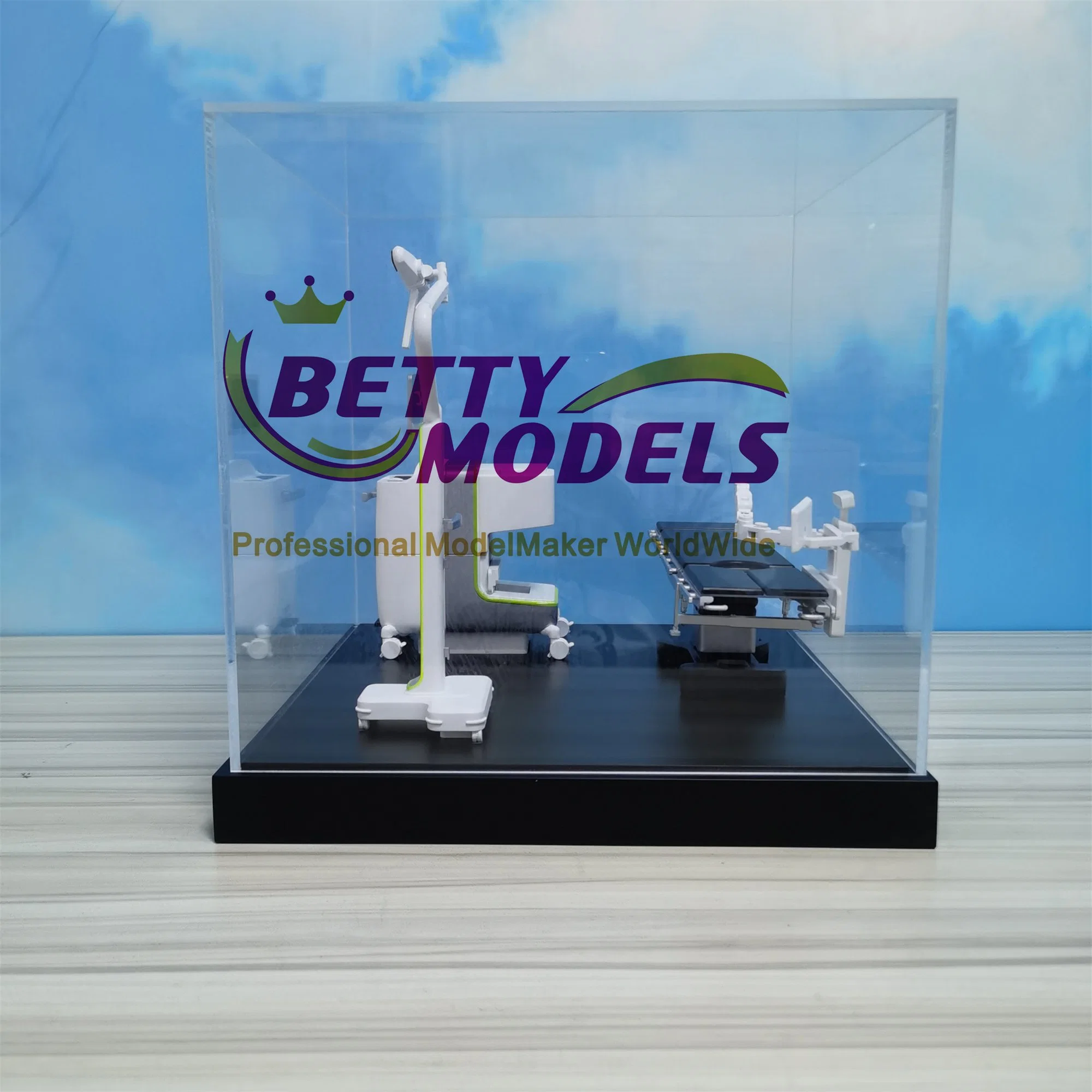 Perfect Medical Teaching Model with Customized Scale and Colour