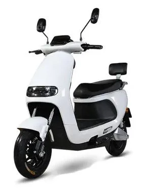 2022 Electric Scooter 1000W, Mini Motorcycle Electric for Adult, Electric Motorcycle for Sale