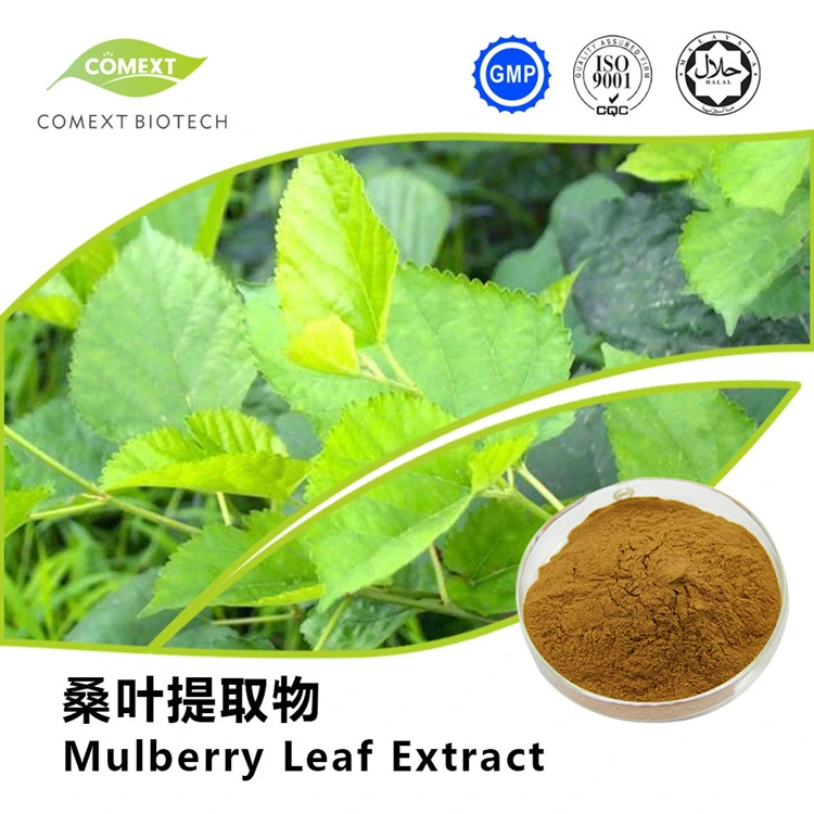 Comext China Hersteller Freie Probe 1% 2% 5% 10% HPLC 1-Deoxynojirimycin Dnj Pulver Polysaccharide Morus Alba White Mulberry Leaf Extrakt Für Blutzucker