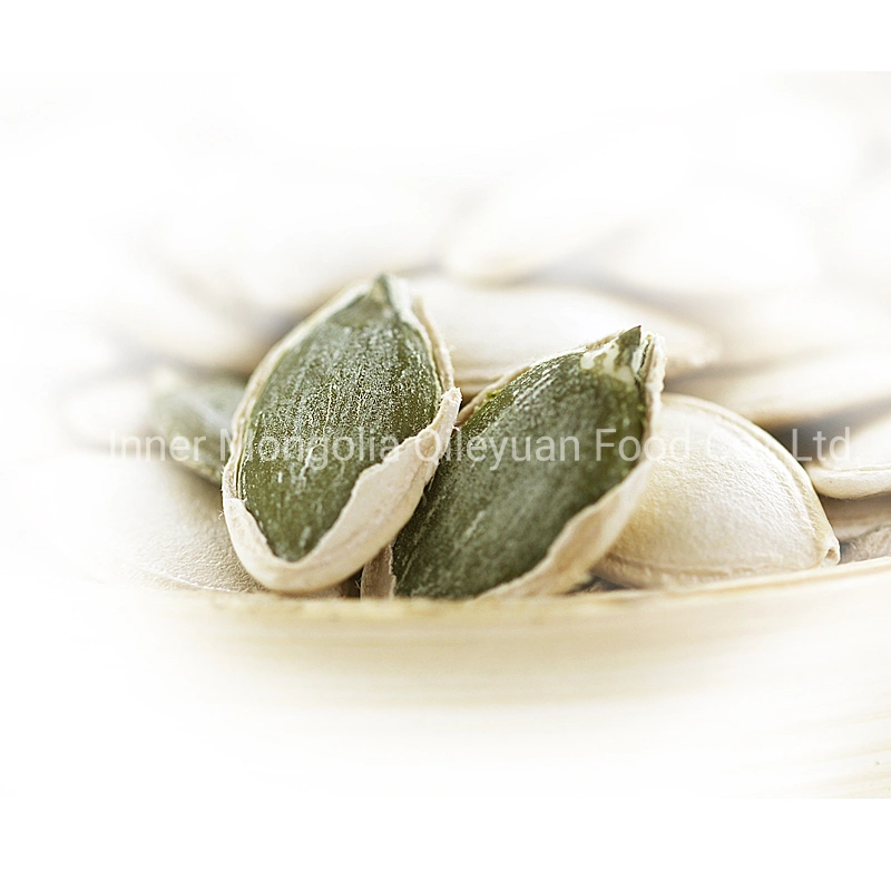 Inner Mongolia China Exporter Good Price Shine Skin Pumpkin Seeds (health food)