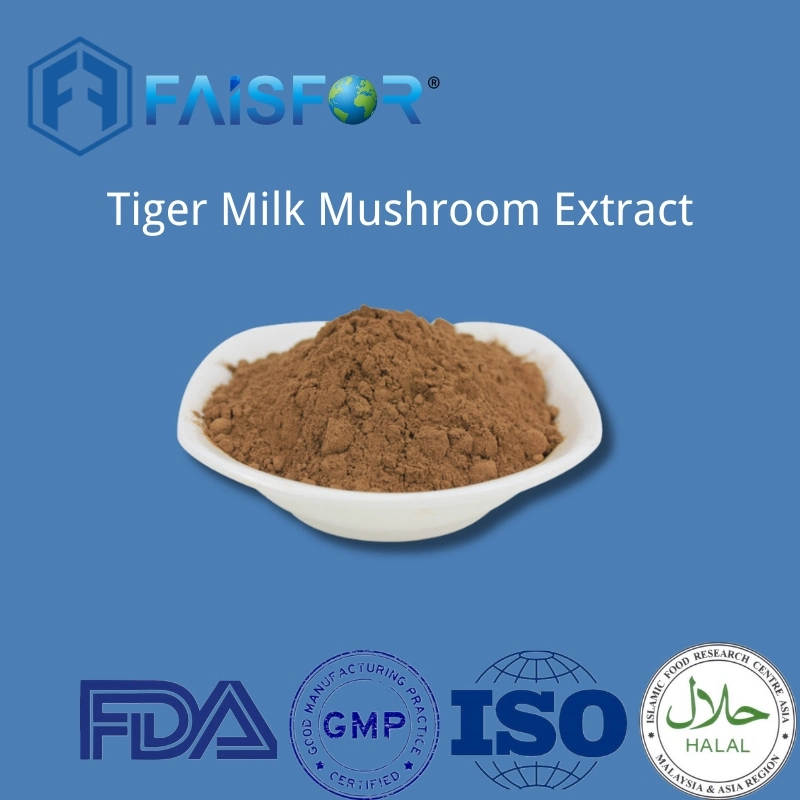 Tiger Milk Pilzextrakt Gemahlenes Pulver Tigermilk Pilzpulver