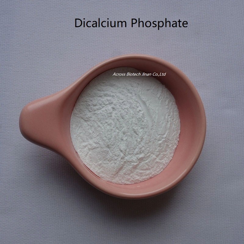 Food Additives Dicalcium Phosphate E341 (II) DCP Price