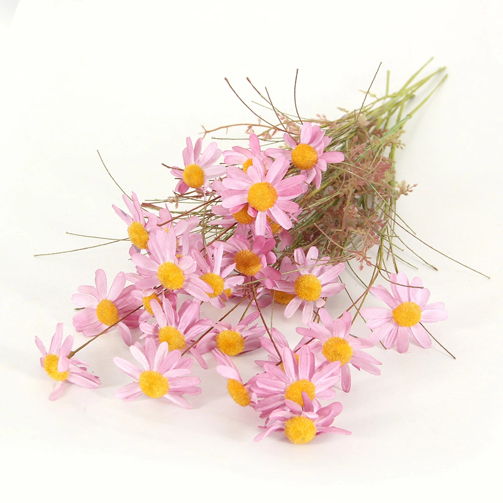 Fashion New Natural Real Preserved Strawflower Fresh Flowers Dried Rock Chrysanthemum Daisy Flowers for Wedding Decor