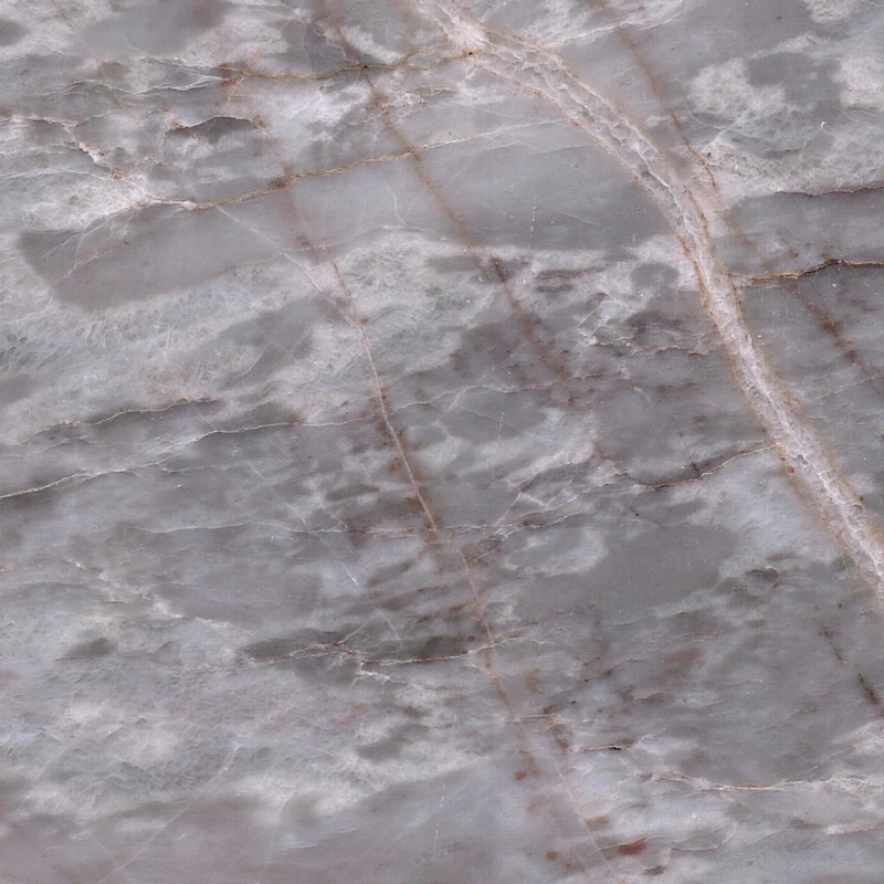 Fabricante de mármore Itália Cinzento Marble Grey com White Veins Grigio Carnico Grey Marble para o Piso