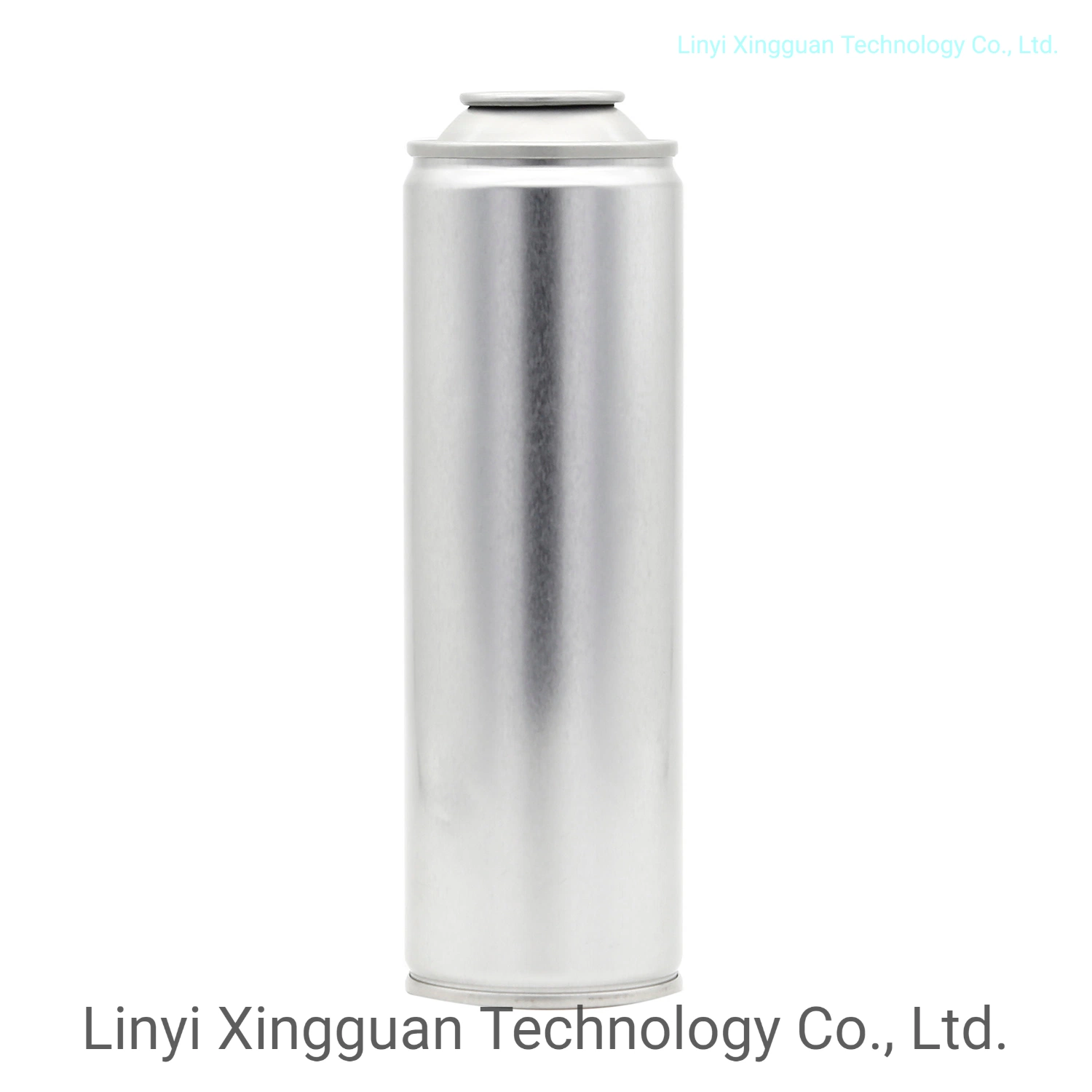 OEM&ODM Customized Aerosol Insecticide Spray Can Metal Tin Can &Valve