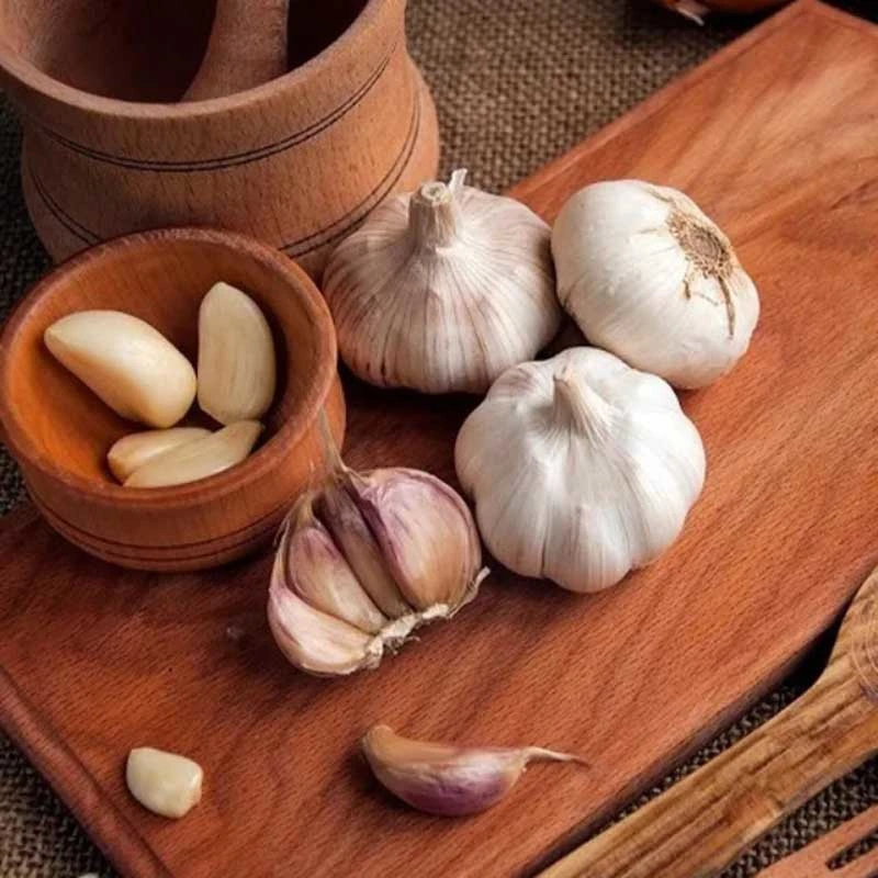 Vietnam Producing Fresh Garlic Weight Origin Type Size Product Fresh Place Model Cultivation Common Certification