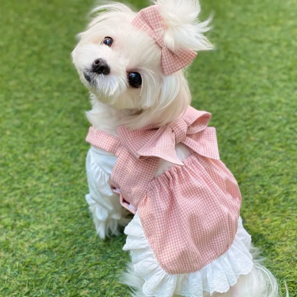 New Summer Pink Princess Plaid Bow Suit Skirt Lace Dog Skirt Pet Dog Clothes