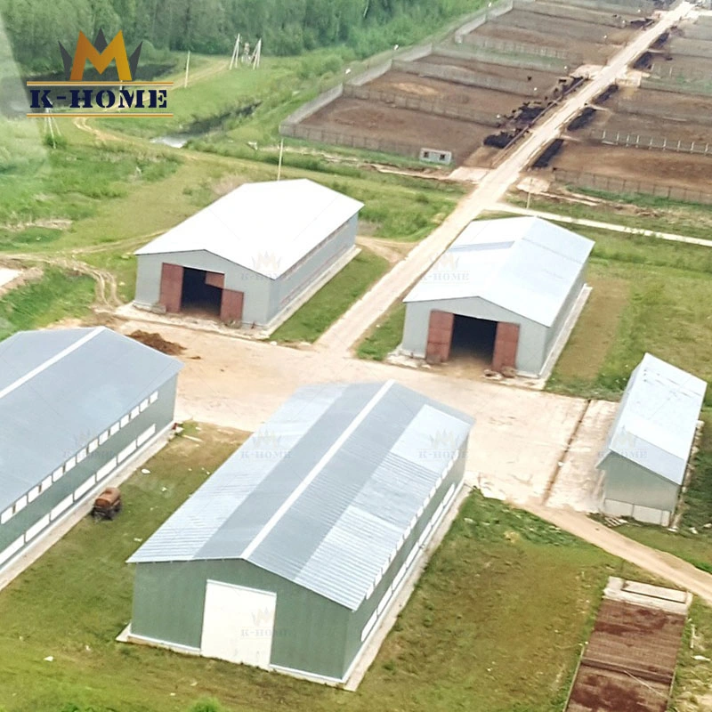 Prefab Metal Building Industrial Shed Steel Frame for Workshop