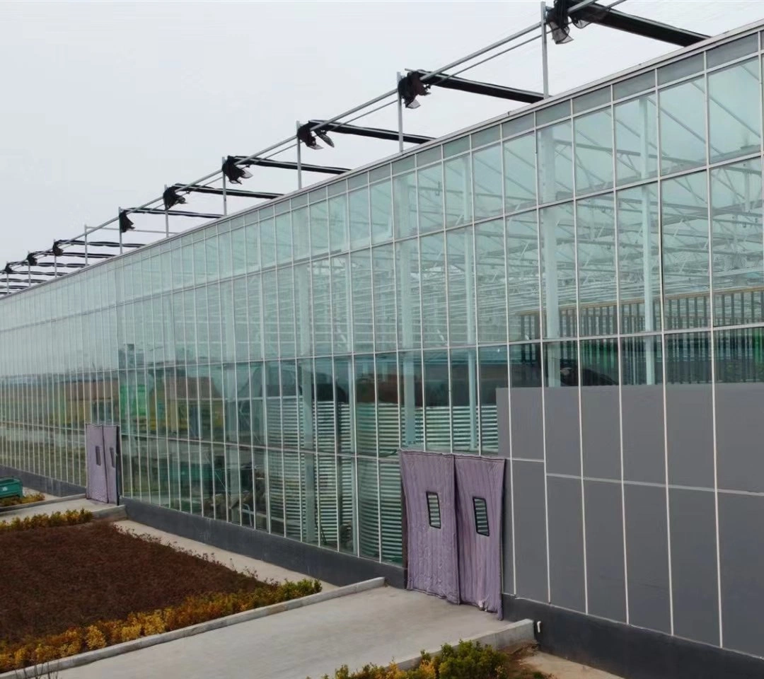 High Strength Zm275 S350 Zm Coated Steel Use for Ecological Agricultural Greenhouse