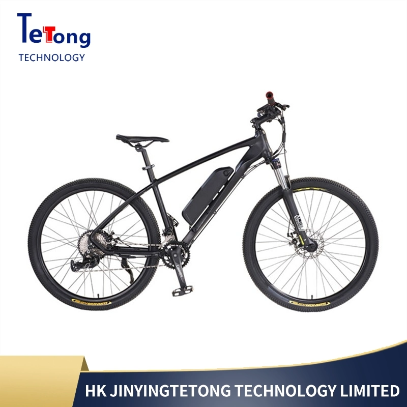 Electric Bicycle China/Electric Bicycle Delivery/Electric Bicycle for Men