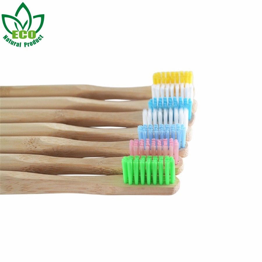 Bamboo Dental Brush Toothbrush in Bamboo Case