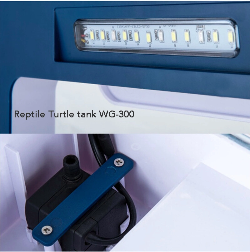 Reptile Turtle Tank with LED Displaying Screen Light Filter Platform