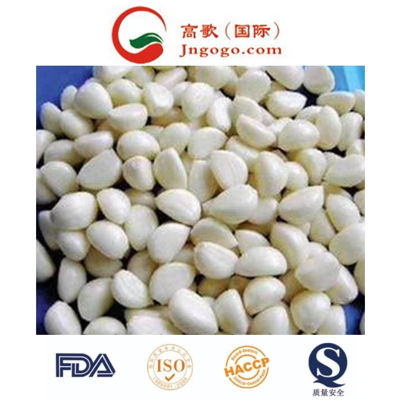 New Crop Pure White Chinese Fresh Peeled Garlic (180-220grains/kg)