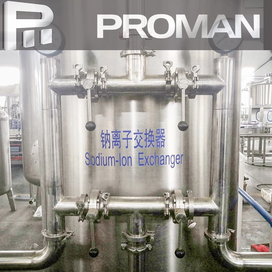 Commercial Drinking Pure Water Reverse Osmosis Purification Processing Equipment RO Well Water Tap Water Treatment System Plant with 304 Stainless Steel Tanks