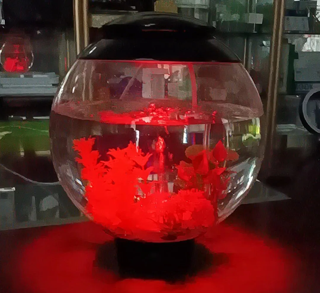 Bureau de type rond Fish Tank Aquariums Contrôle de la lumière à LED RVB par télécommande infrarouge