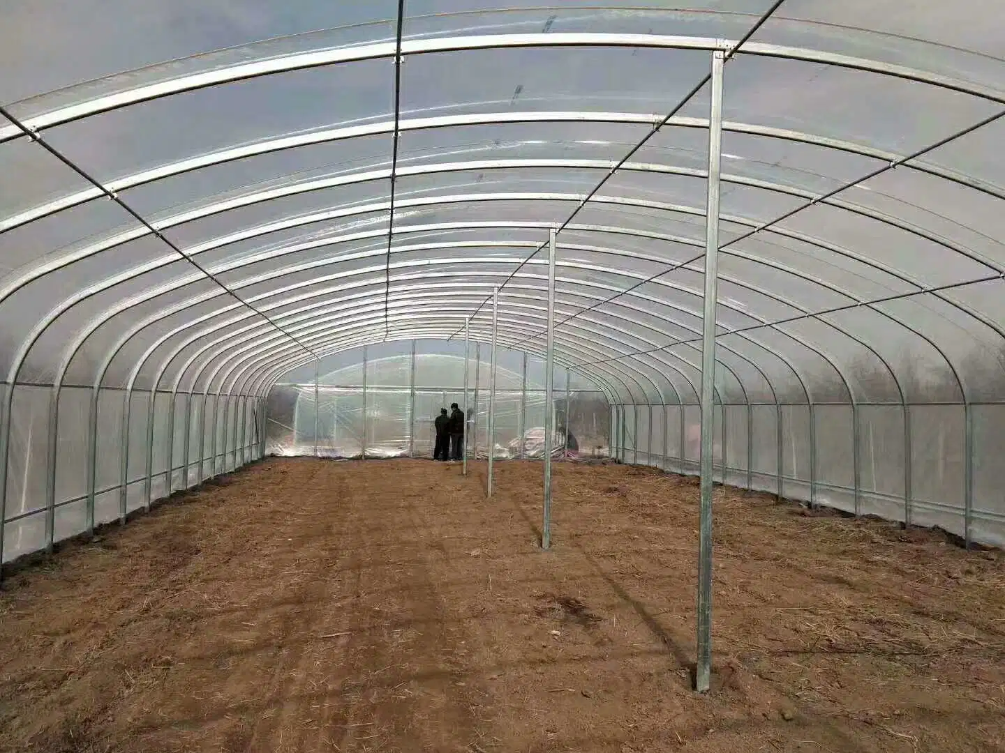 4-8m Wide Cheap Ang Pretty Good Single Span Agriculture Strawberry Film Greenhouse