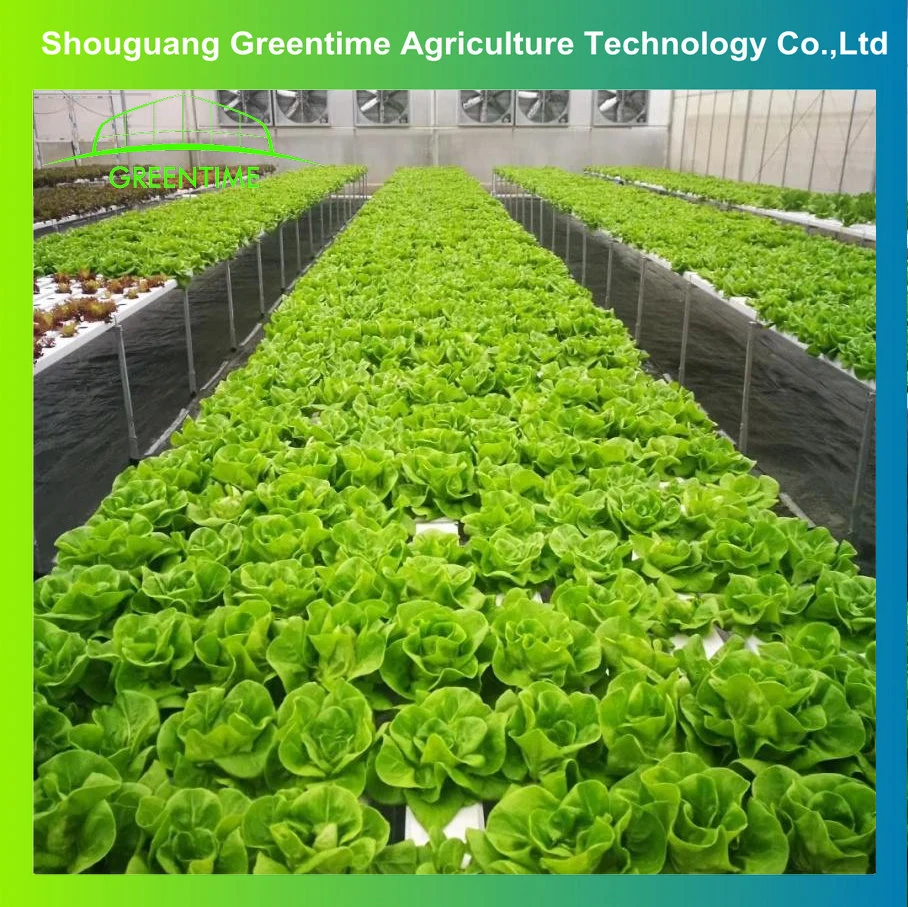 Système hydroponique agricole Type a de tuyau vertical de canal en PVC NFT Culture de laitue légumes de feuilles