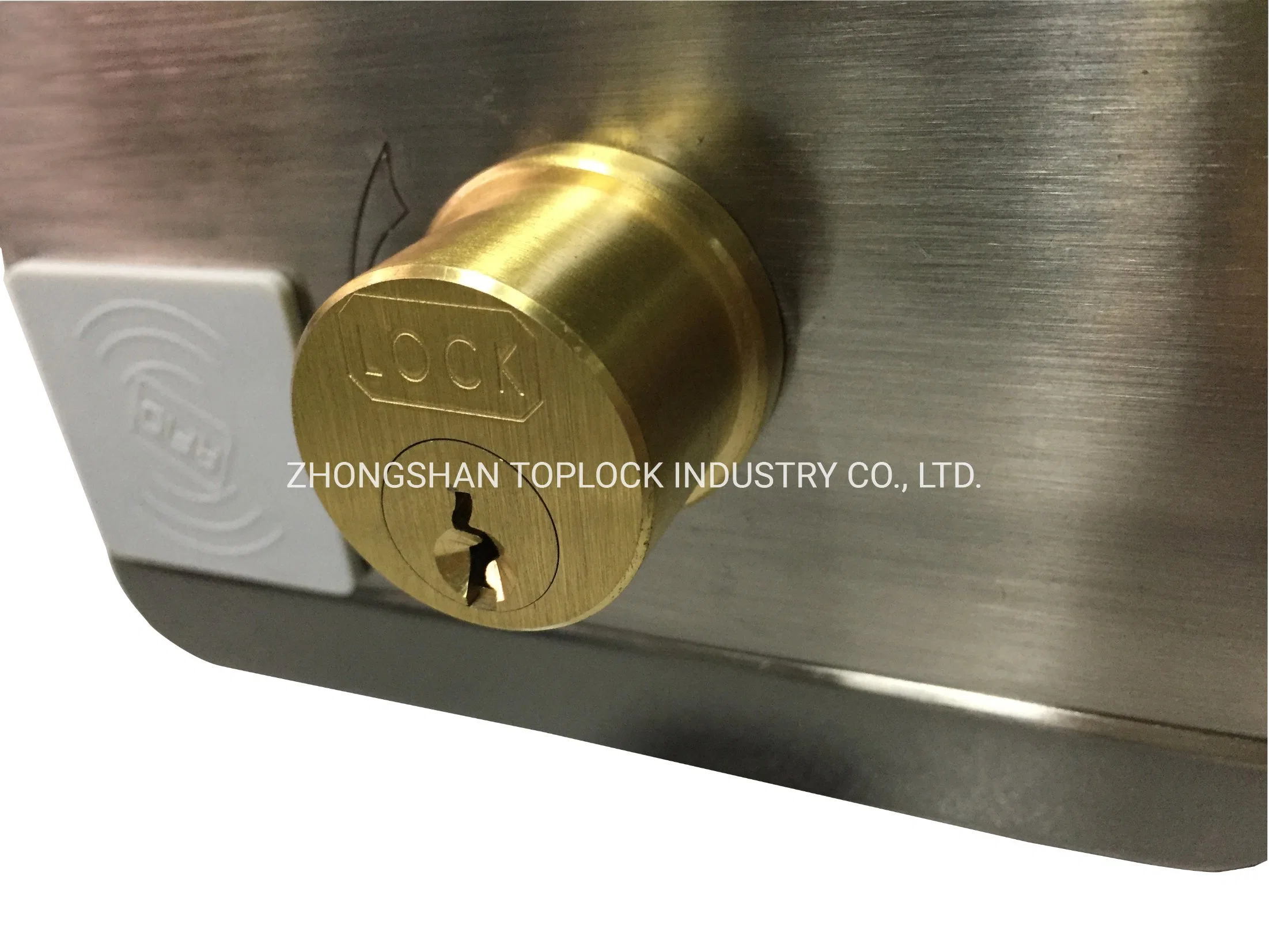 China Manufacturer Motorized Rim Lock Electronic Gate Lock