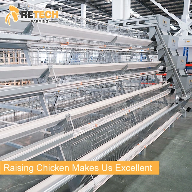 A Type Fully Automatic Poultry Farm Layer Chicken Cage Equipment in Indonesia