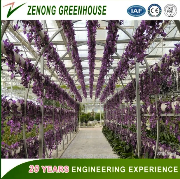 Farming/Fishing/Poultry Used Greenhouse PC Sheet Greenhouse for Exhibition Vegetables/Flowers/Tourism/Eco Restaurant with Heating System