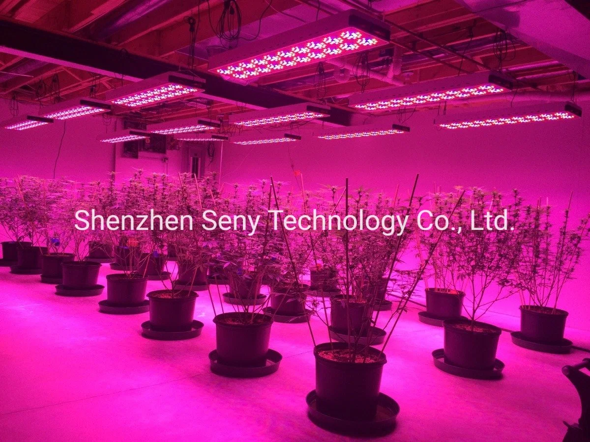 Apollo 20 900W High Power Flower Plant LED Grow Light Factory