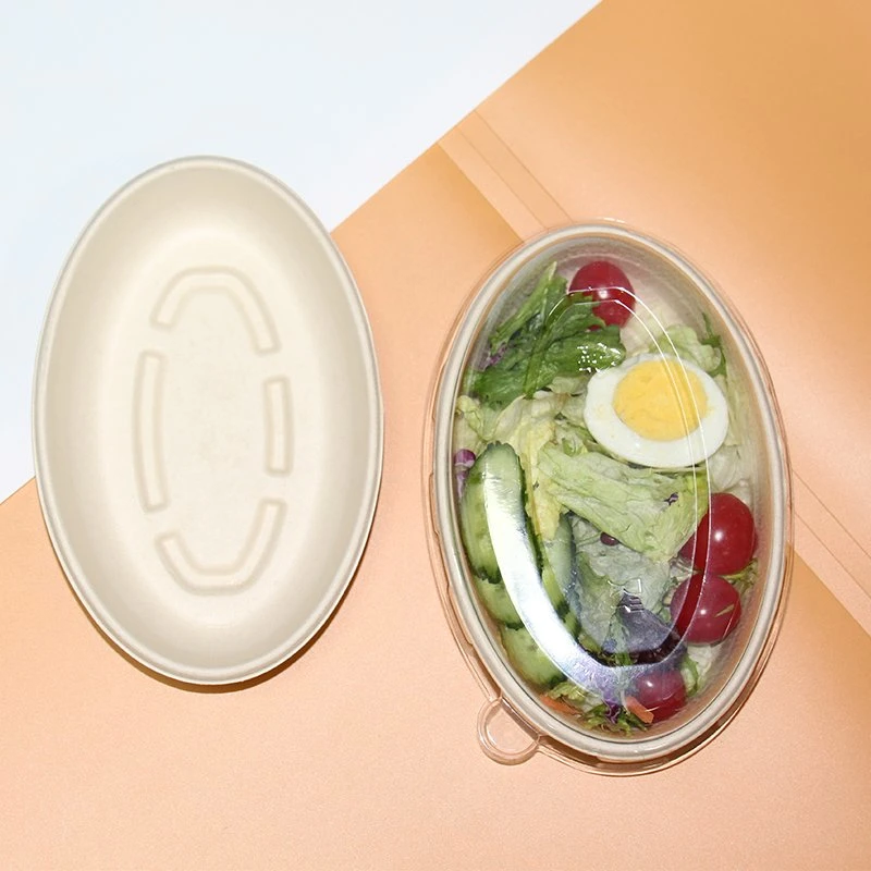 Eco 100% Compostable Eco-Food Packaging One Single Use Biocane Plate Salad Plate Oval Paper Bowl Dinnerware Set Menu Bowl Sugarcane Fiber Bowl with Clear Window