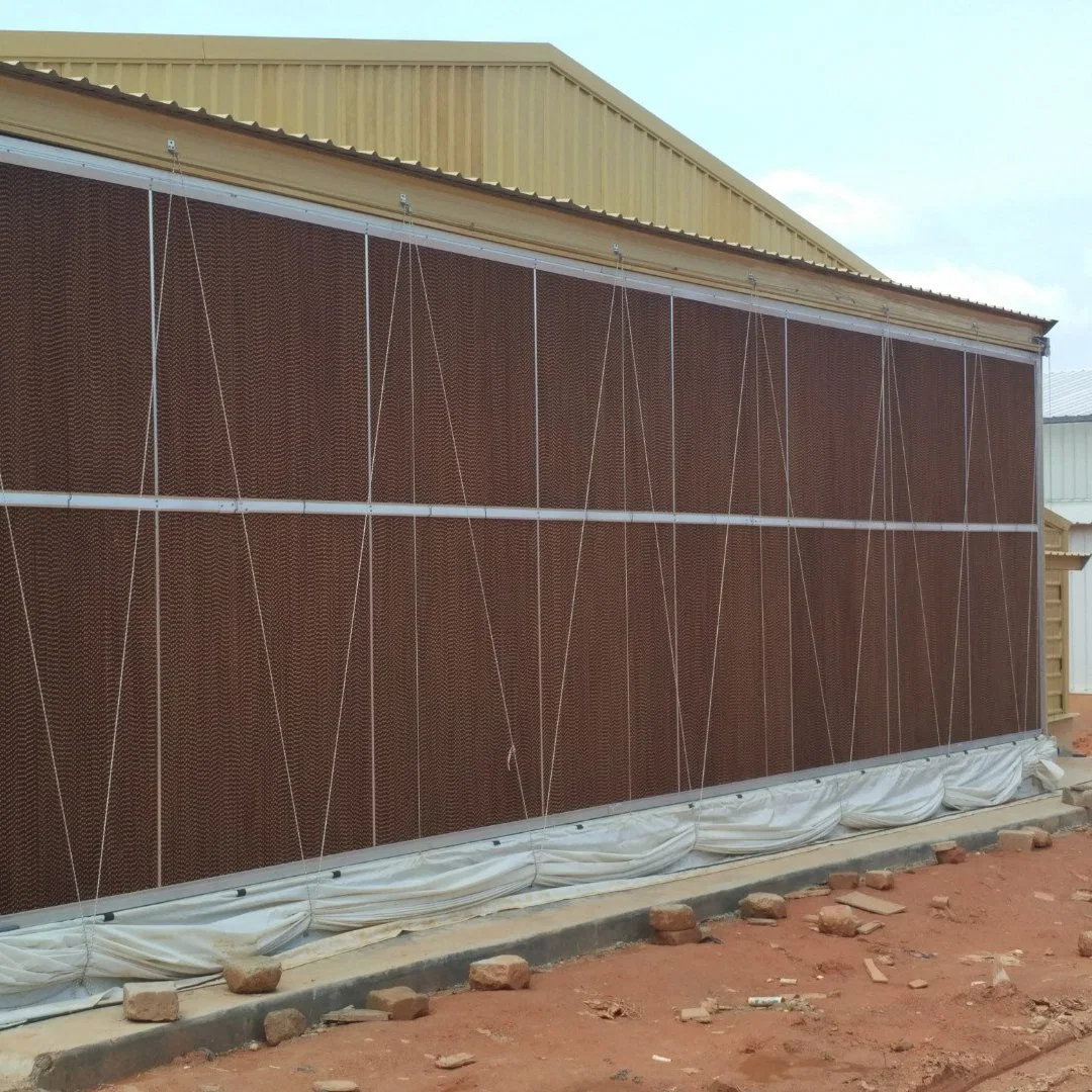 One-Stop Poultry House Chicken Farm