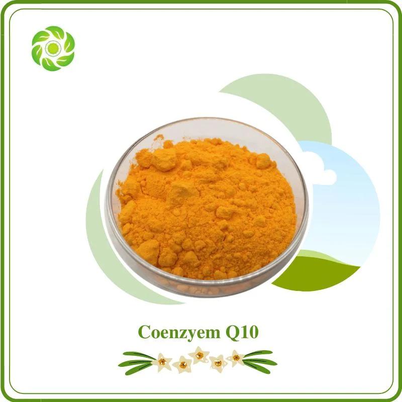 World Well-Being High Purity Coenzyme Q10, Factory Supplier