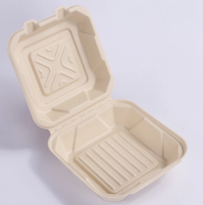 Comida ligera Multi-Square desechables Box Lunch Box Caja de embalaje biodegradables