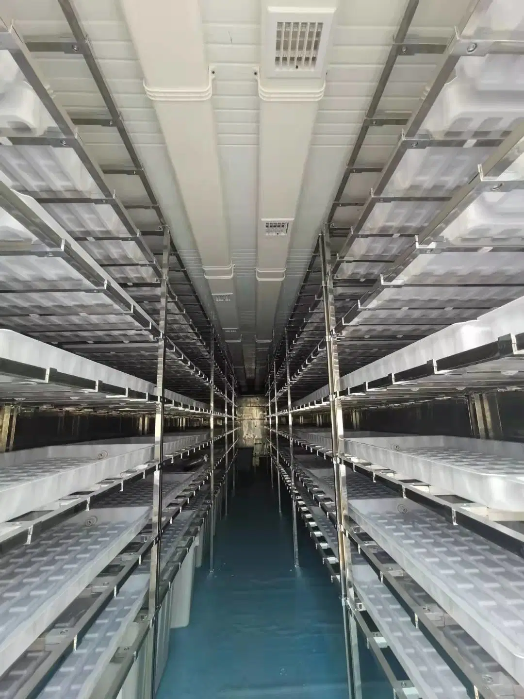 Agriculture Multi Span Sheet Green House with Hydroponics