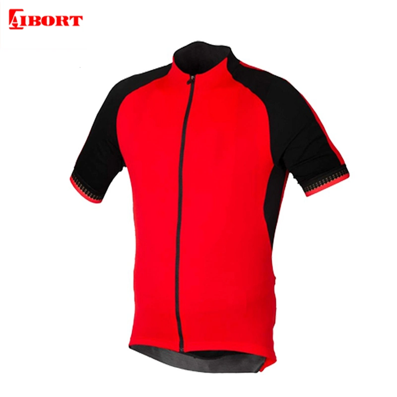 Aibort High Quality Long Sleeve Cycling Jersey Sets Bib Shorts Cycling Shirts (L-CY-119)