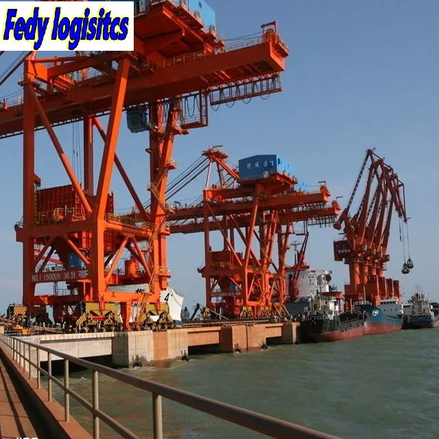 Professional Sea Freight Forwarder Agent Shipping From China to Taiwan/Keelung, Kaohsiung, Taichung