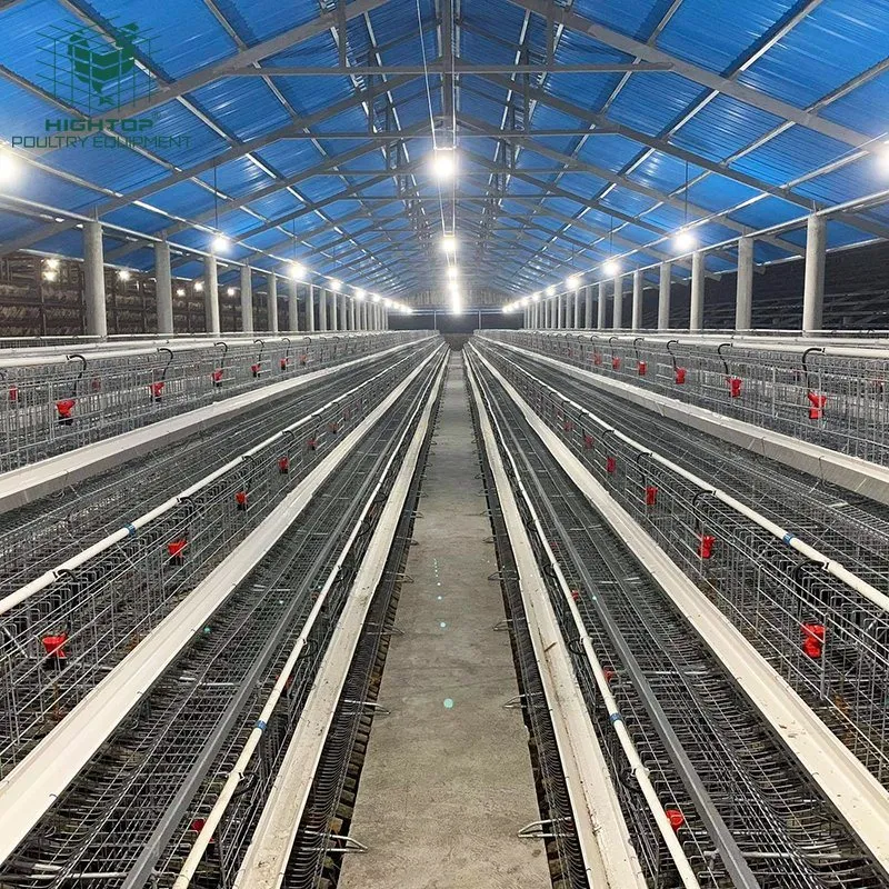 Bon prix de l'Aviculture ferme Couche de type ordinaire pour la vente de la cage de poulet