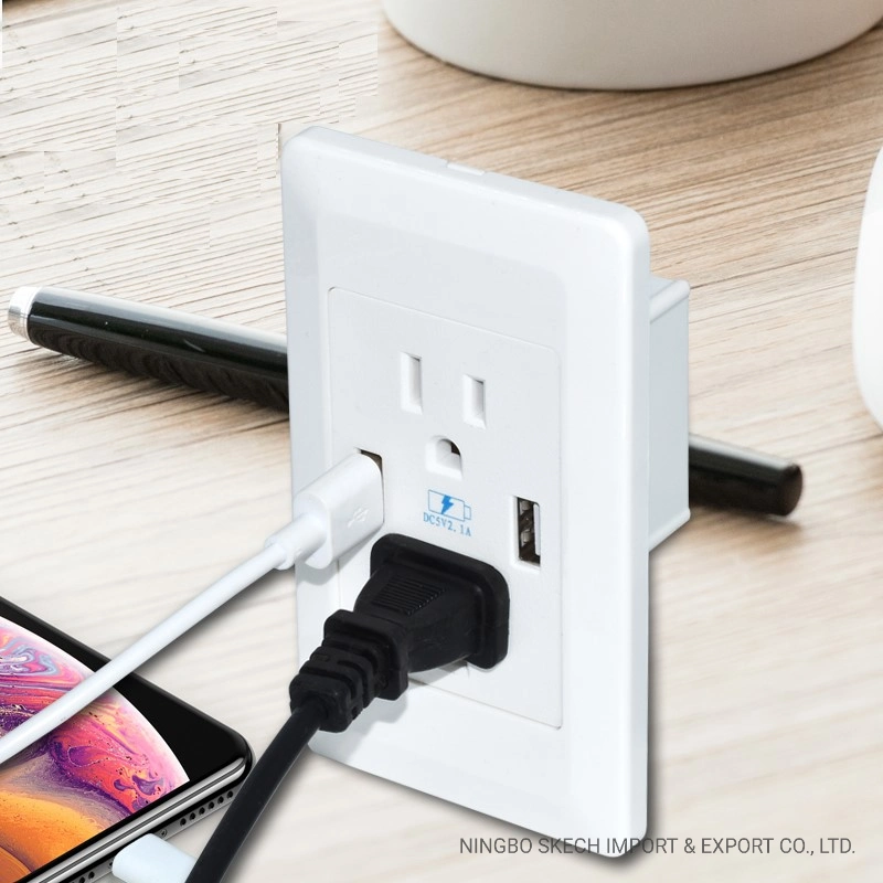 15A Wall Socket Dual USB Type-a Outlets Charger with Dustproof Power Socket