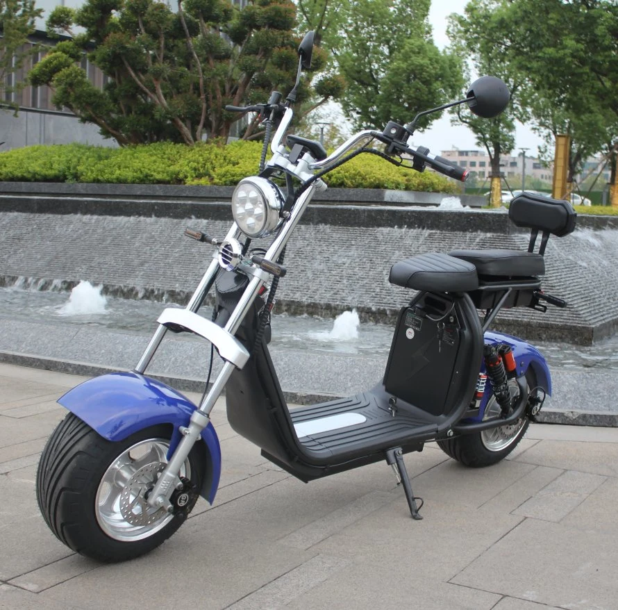 Scooter électrique Wellsmove Vente à chaud CEE/COC Citycoco 1500/2000W Vélo électrique